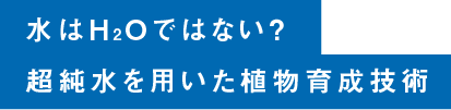 水はH2Oではない？超純水を用いた植物育成技術